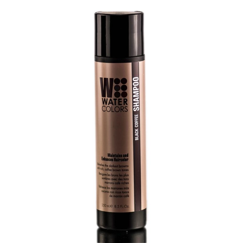 Tressa Water Colors Warm Spice Shampoo 8.5oz - Reverse Generation