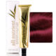 ALL-NUTRIENT PERMANENT CREAM HAIRCOLOR (3.5 OZ) - 4RB DARK BURGUNDY - Reverse Generation