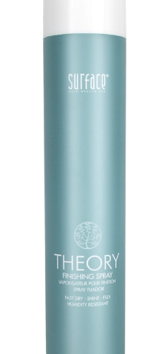 Surface Theory Finishing Spray 12 oz - Reverse Generation